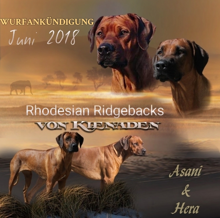 Bajana Femi von Kienaden 1