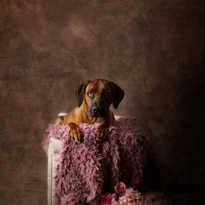 Hera Und Hektor Shooting 111 1549027665