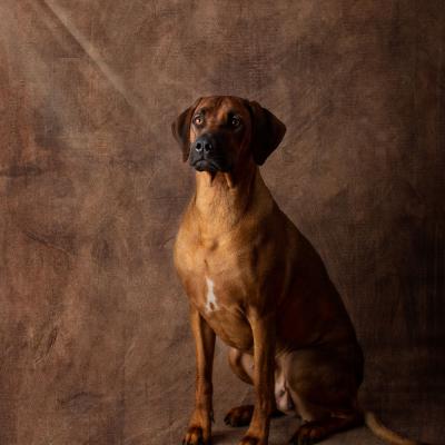 Hera Und Hektor Shooting 69 1549027669