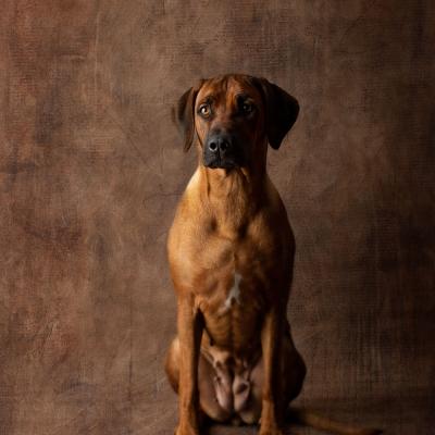 Hera Und Hektor Shooting 73 1549027651