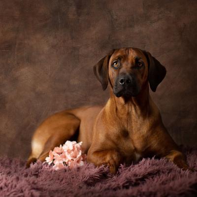 Hera Und Hektor Shooting 97 1549028208