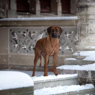 Hera Und Hektor Shooting 23 1547906941